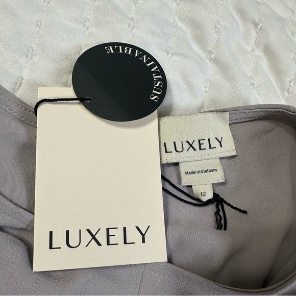 LUXELY By Maggy London Dove Gray Blouson Crew Neck Short Sleeve Bodice THEO- - Picture 11 of 16